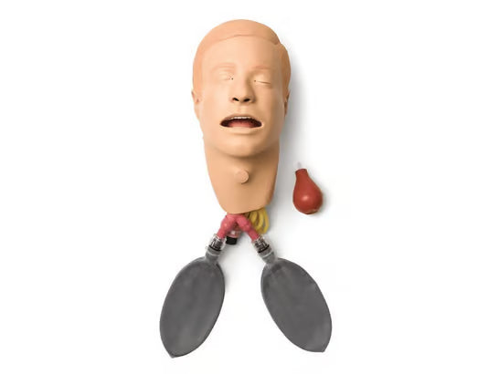 Laerdal-300-10150 Head; Amh-Int W/Lung-Std 1/Ea