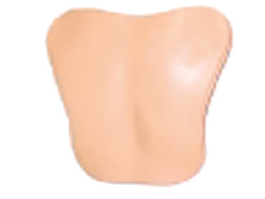 Laerdal Chestplt; Am-Hosp