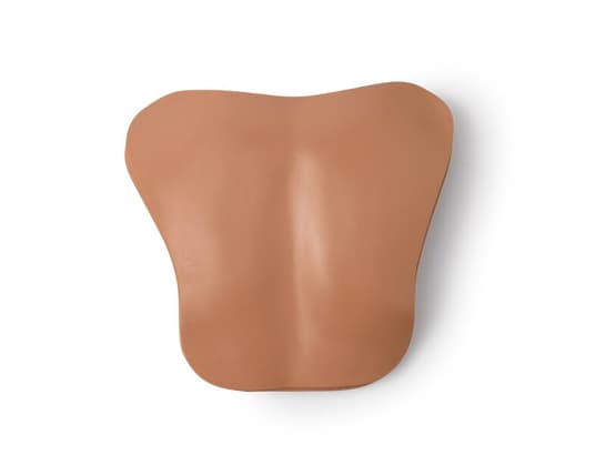 Laerdal Chestplt; Am-Hosp