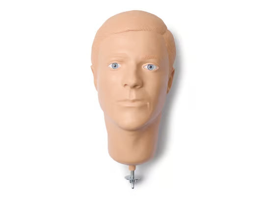 Laerdal-301-10150 Head; Am-Hard-Pntd-Std 1/Ea