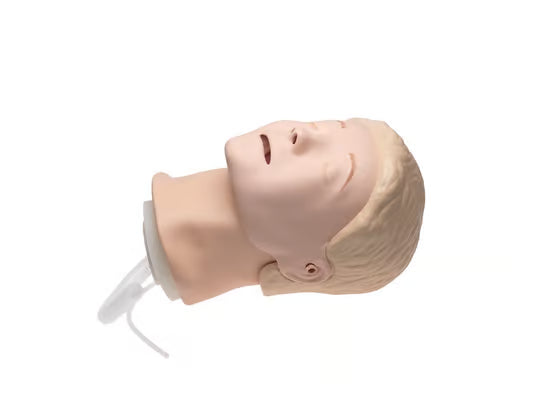 Laerdal-310200 Resusci Anne Basic Head Complete 1/Ea