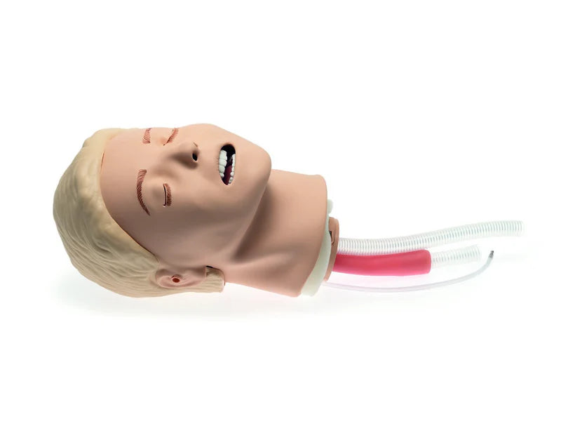 Laerdal-316000 Resusci Anne Airway 1/Ea