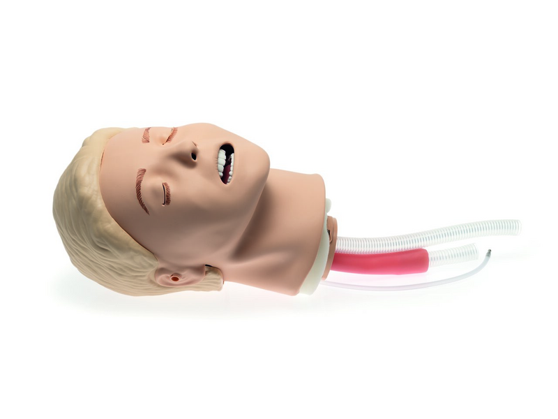 Laerdal-316000 Resusci Anne Airway 1/Ea