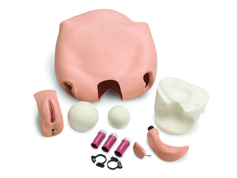 Laerdal Upgrd; Fundus Nsg Anne