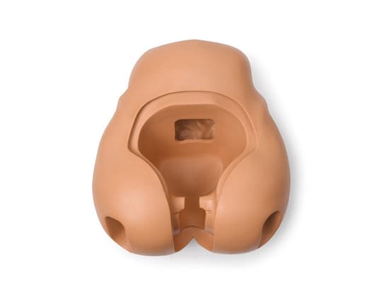 Laerdal Pelvis; No Brdge