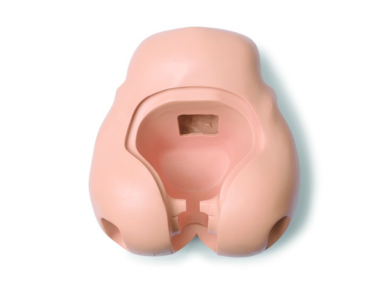 Laerdal Pelvis; No Brdge