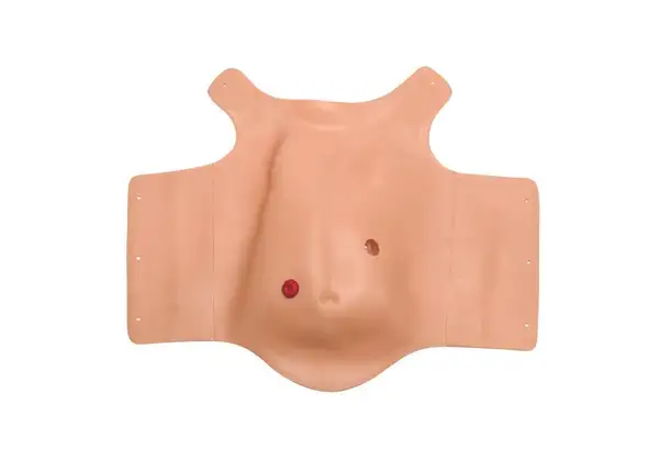 Laerdal-365-01650 Assy; Chest Skin Nbaby 1/Ea