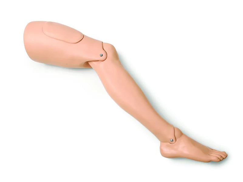 Laerdal-380650 Leg; Right Adult-Std 1/Ea