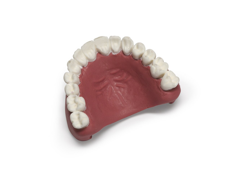 Laerdal Teeth