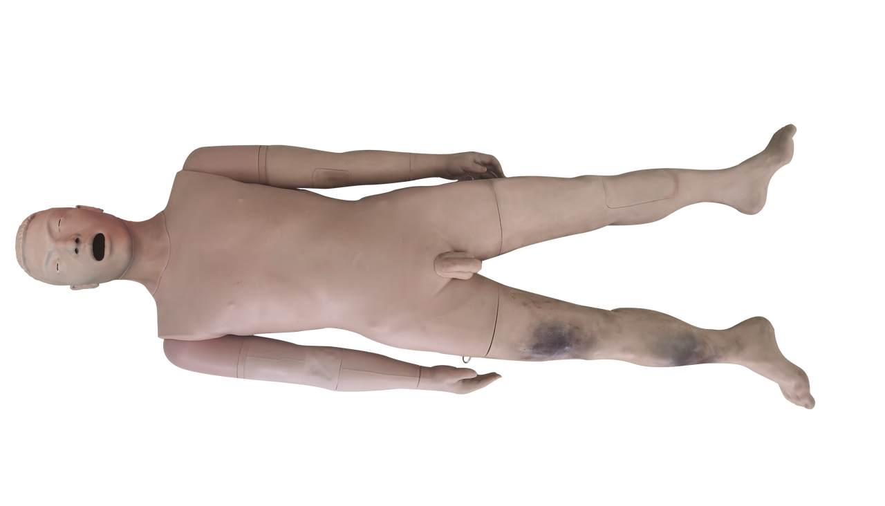 The Anatomy Lab-A-113015 Complete Clinical Skills Training Manikin, 1/EA