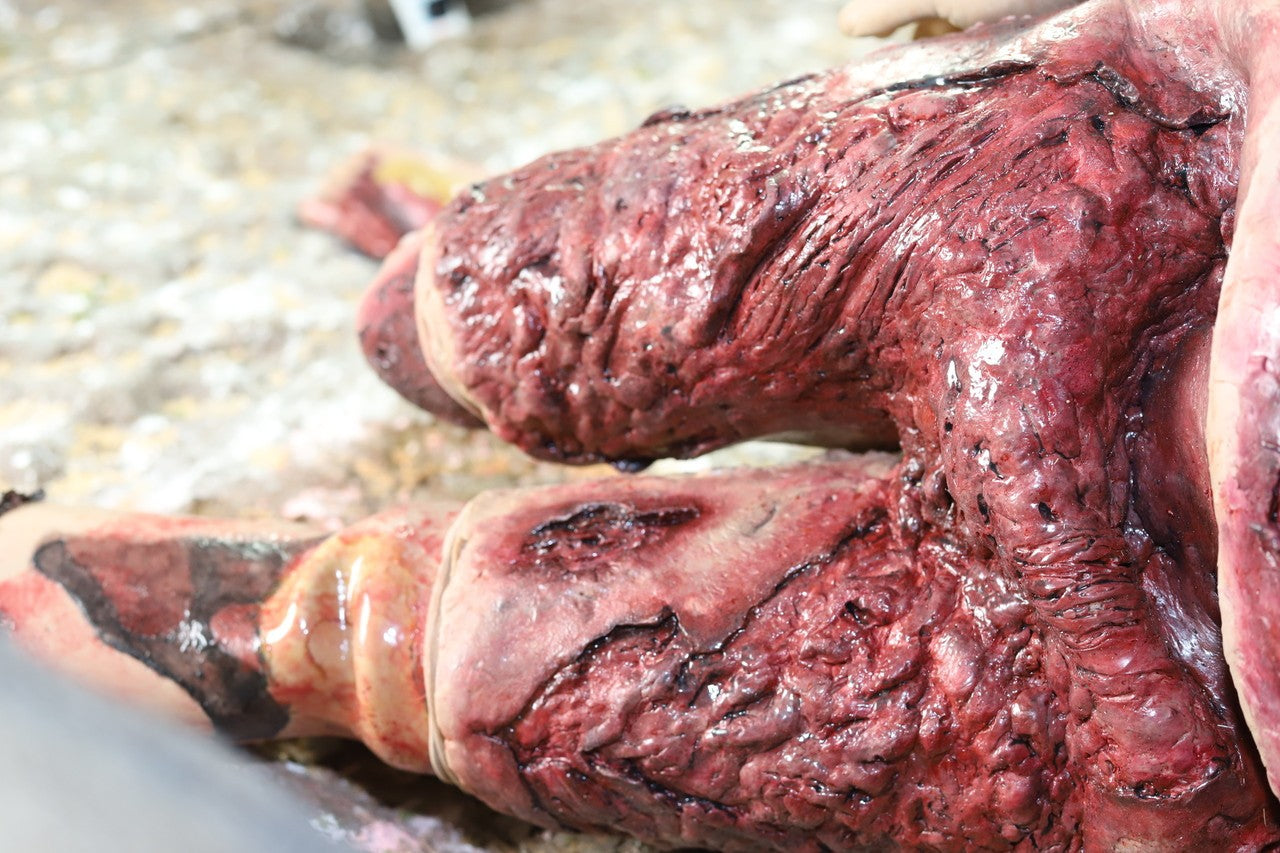 The Anatomy Lab-A-113000 Wearable Burn Wound Kit, 1/SET