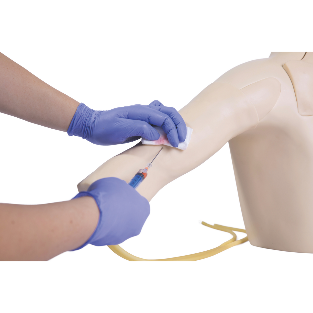 The Anatomy Lab-A-105849 Central Venous Catheterization Simulator, 1/ea