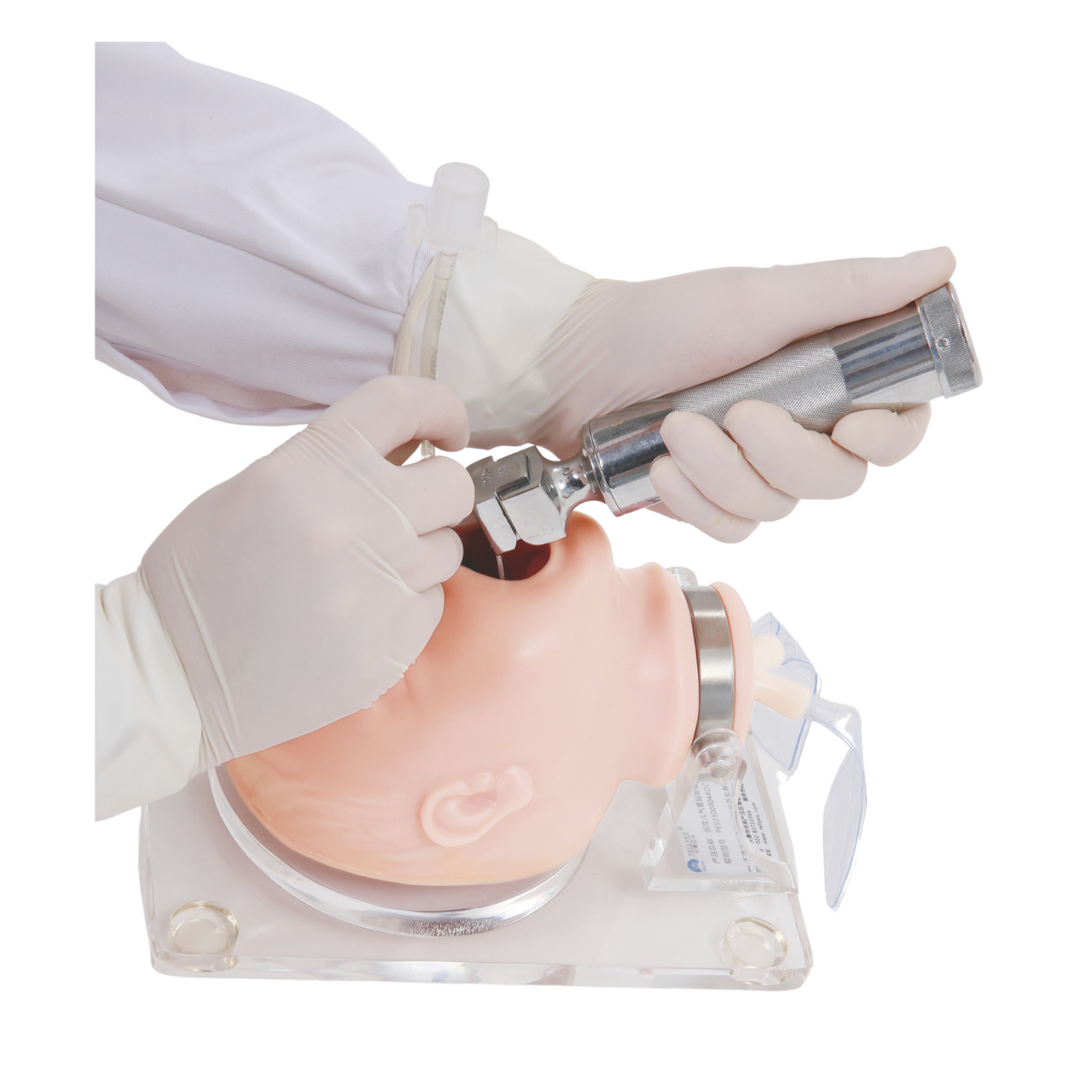 The Anatomy Lab-A-104422 Neonate Airway Management Trainer, 1/ea