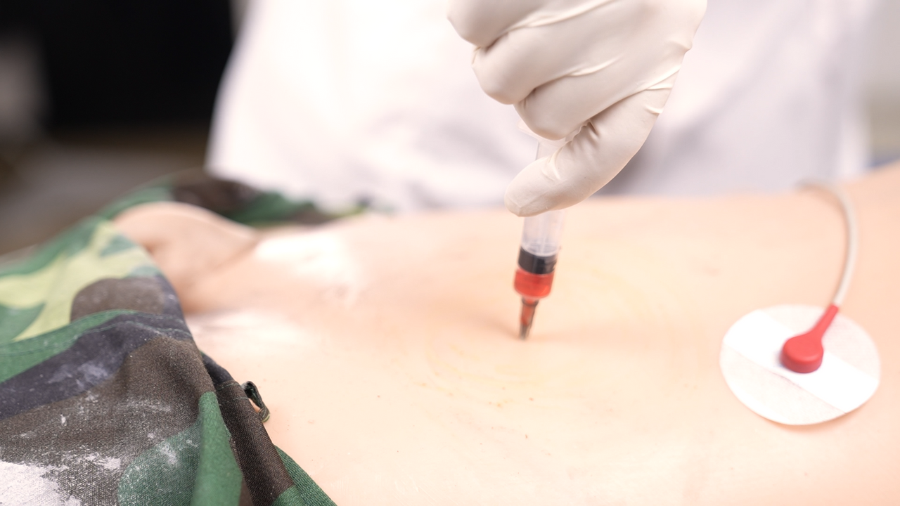 The Anatomy Lab-A-113015 Complete Clinical Skills Training Manikin, 1/EA