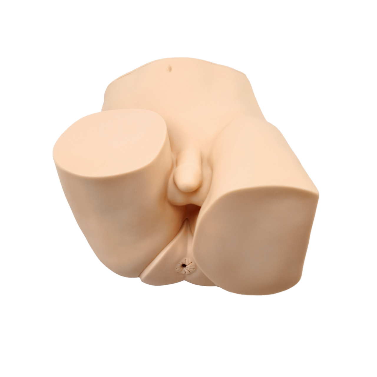 The Anatomy Lab-A-105848 Advanced Rectal Touch Examination Model