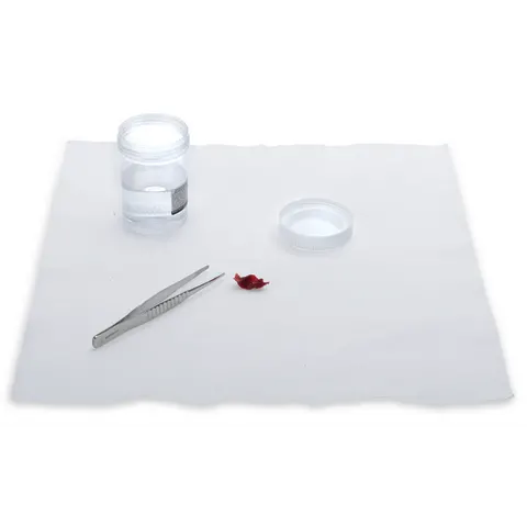 Marketlab-5162 Formalin Neutralizing Dry Mat • 13"W x 13"L, 50/pk