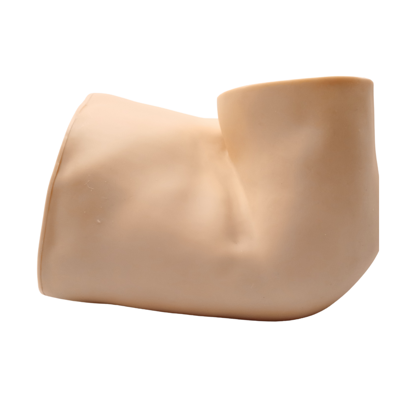 The Anatomy Lab-A-105848 Advanced Rectal Touch Examination Model