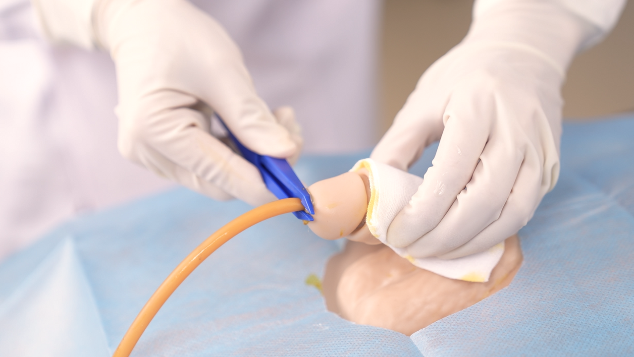 The Anatomy Lab-A-113015 Complete Clinical Skills Training Manikin, 1/EA