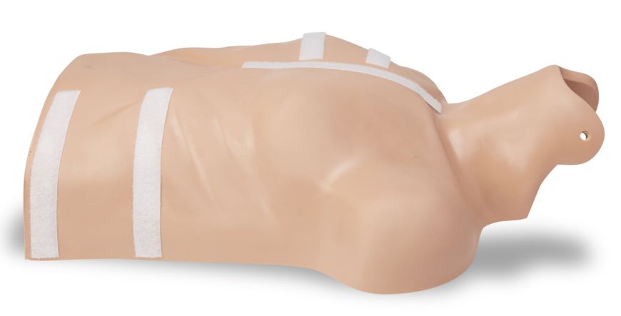 Maniquí de demostración ZOLL-8000-0835-01 AED Plus®. Incluye torso de maniquí con tiras de velcro adheridas
