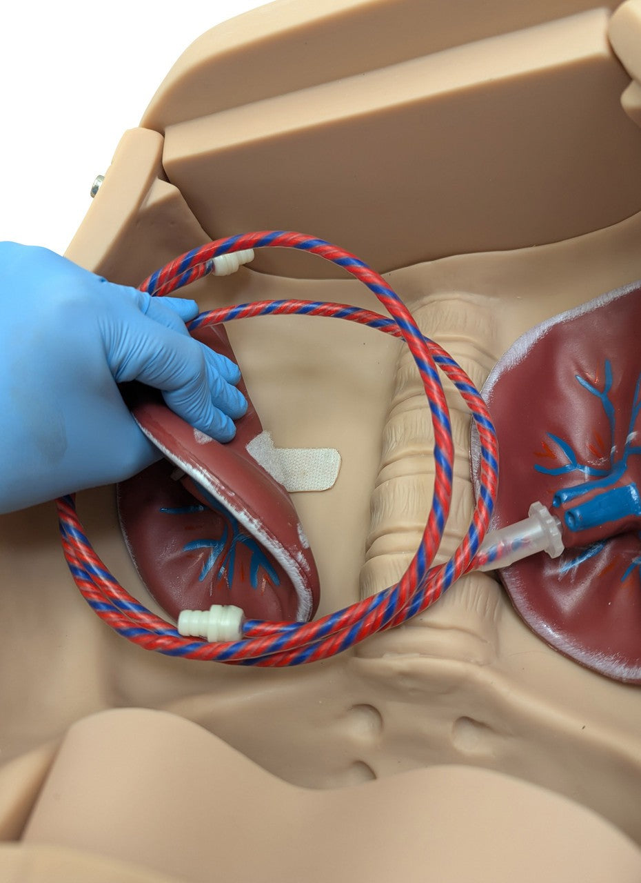 The Anatomy Lab-A-104410 Advanced Childbirth Simulator, 1/ea