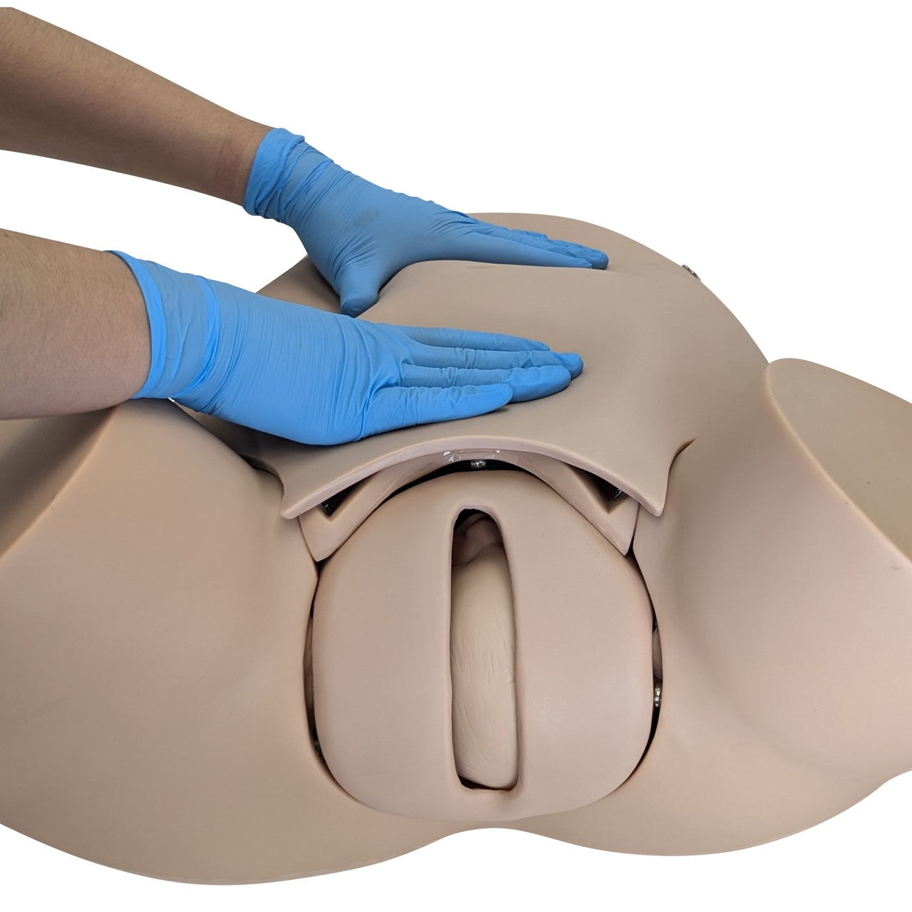 The Anatomy Lab-A-104410 Advanced Childbirth Simulator, 1/ea