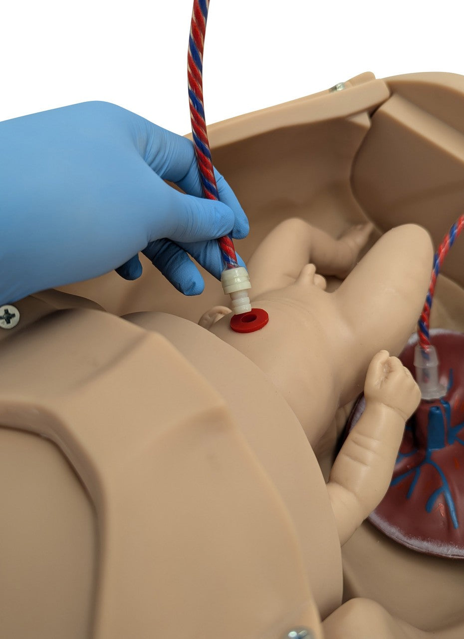 The Anatomy Lab-A-104464 Obstetric Manikin, 1/ea