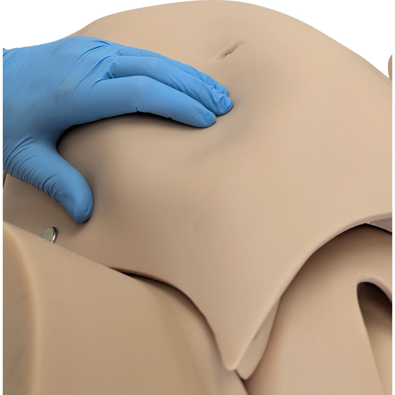 The Anatomy Lab-A-104410 Advanced Childbirth Simulator, 1/ea