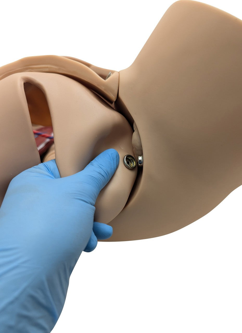 The Anatomy Lab-A-104410 Advanced Childbirth Simulator, 1/ea