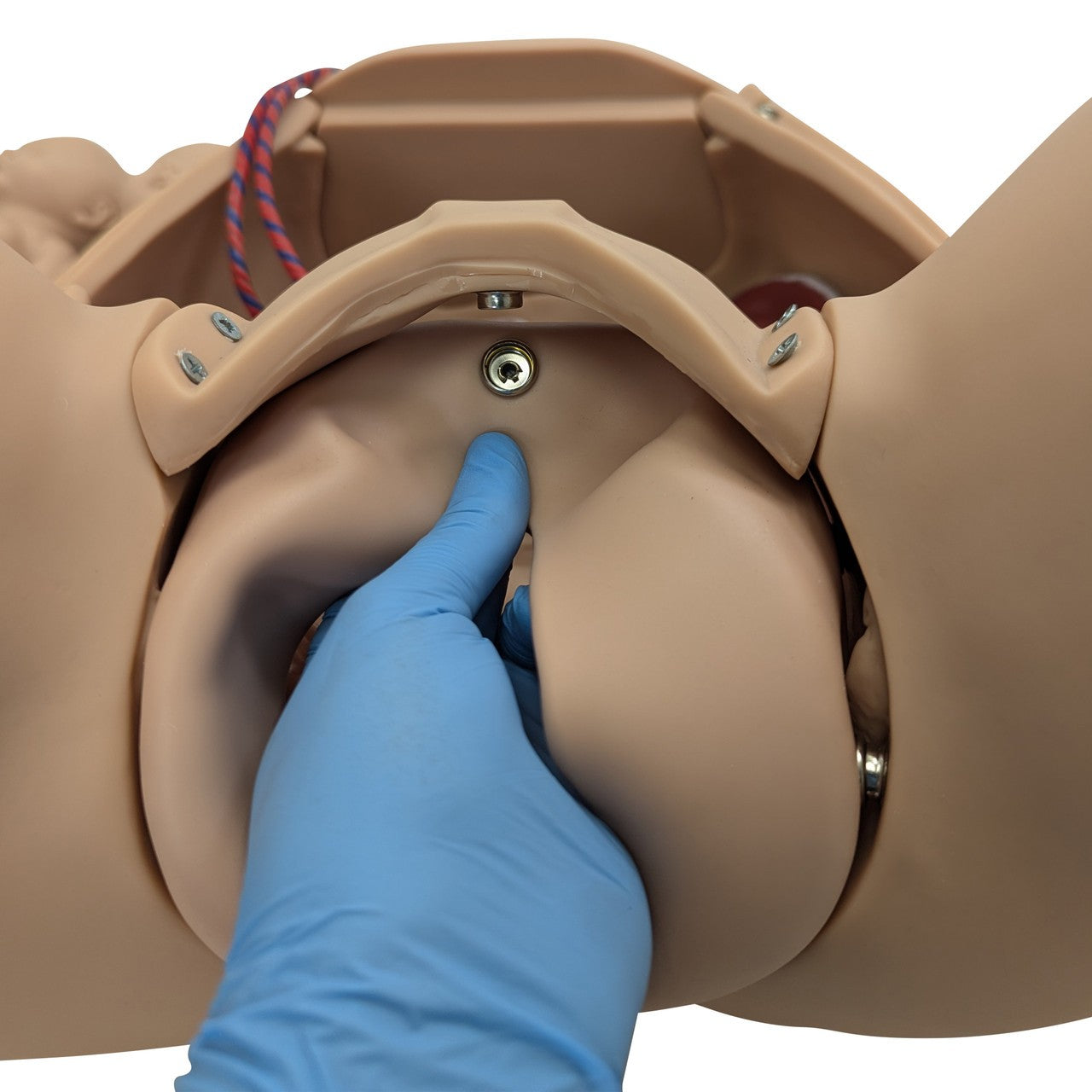 The Anatomy Lab-A-104410 Advanced Childbirth Simulator, 1/ea