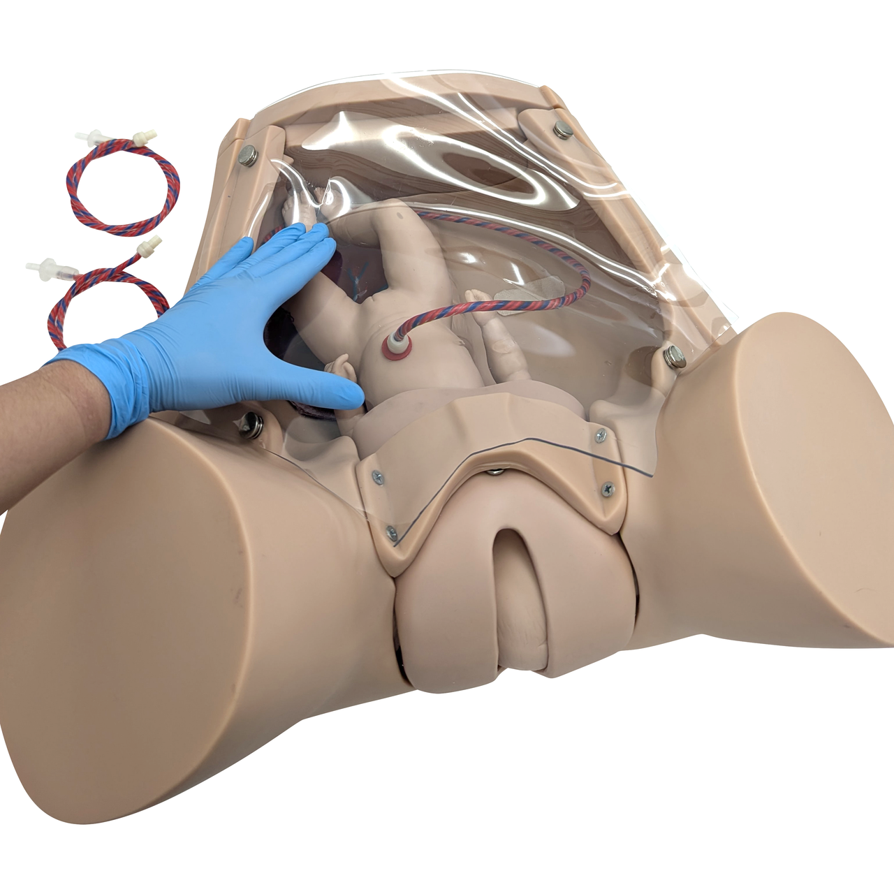 The Anatomy Lab-A-104410 Advanced Childbirth Simulator, 1/ea