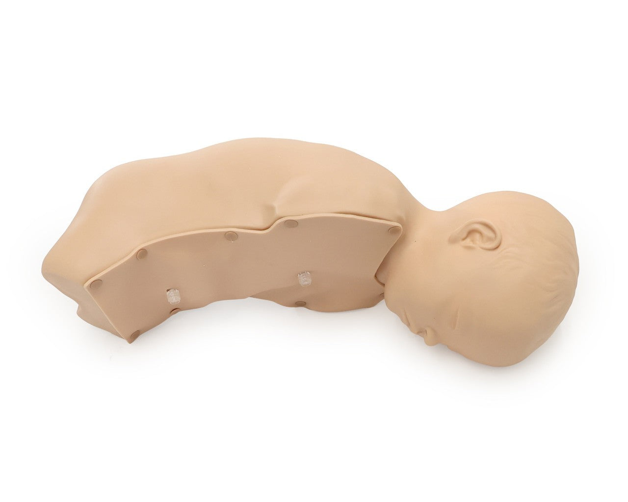 The Anatomy Lab-A-104412 Lab Baby Stap, 1/ea