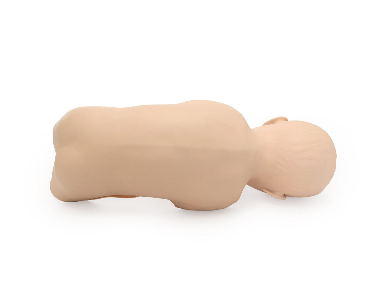 The Anatomy Lab-A-104412 Lab Baby Stap, 1/ea