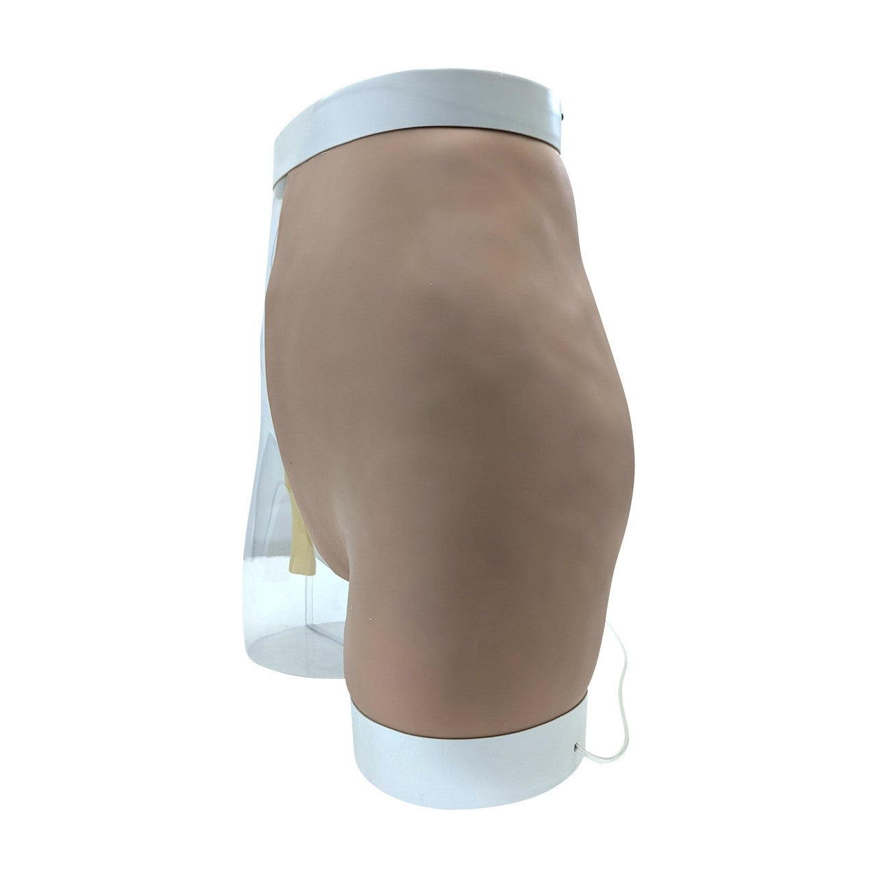 The Anatomy Lab-A-104413 Buttock Intramuscular Injection Model, 1/ea