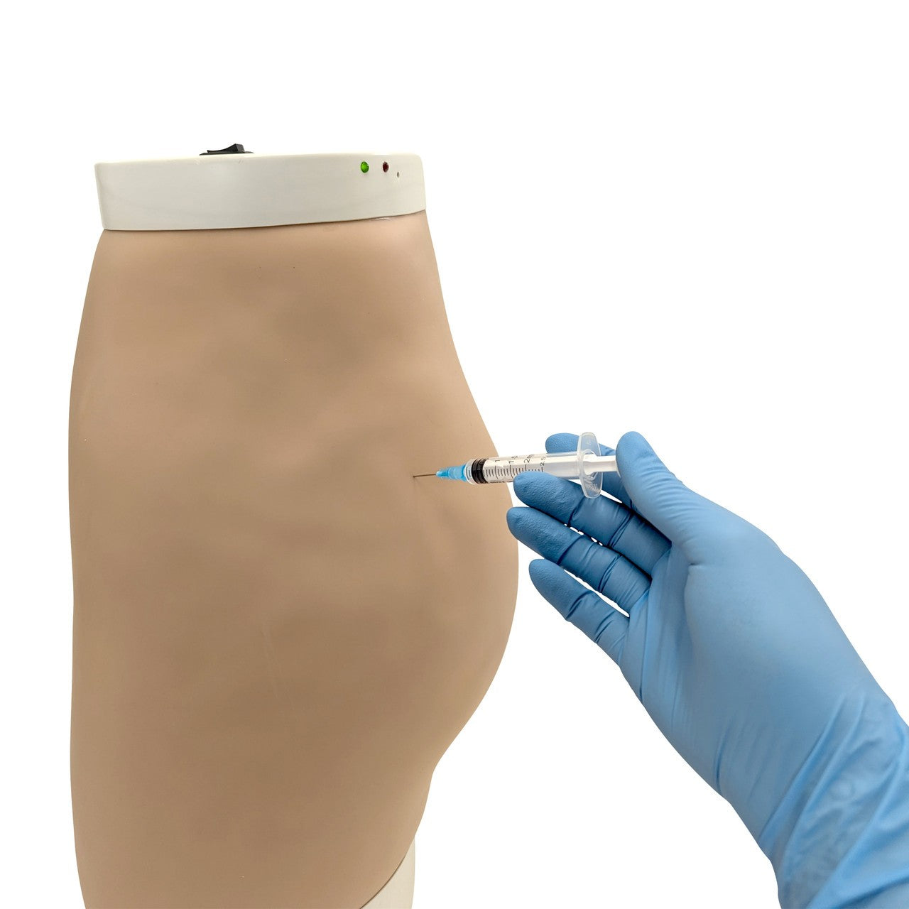 The Anatomy Lab-A-104413 Buttock Intramuscular Injection Model, 1/ea