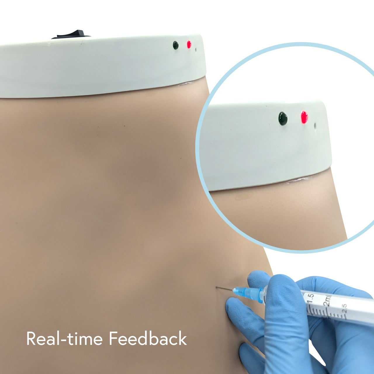 The Anatomy Lab-A-104413 Buttock Intramuscular Injection Model, 1/ea