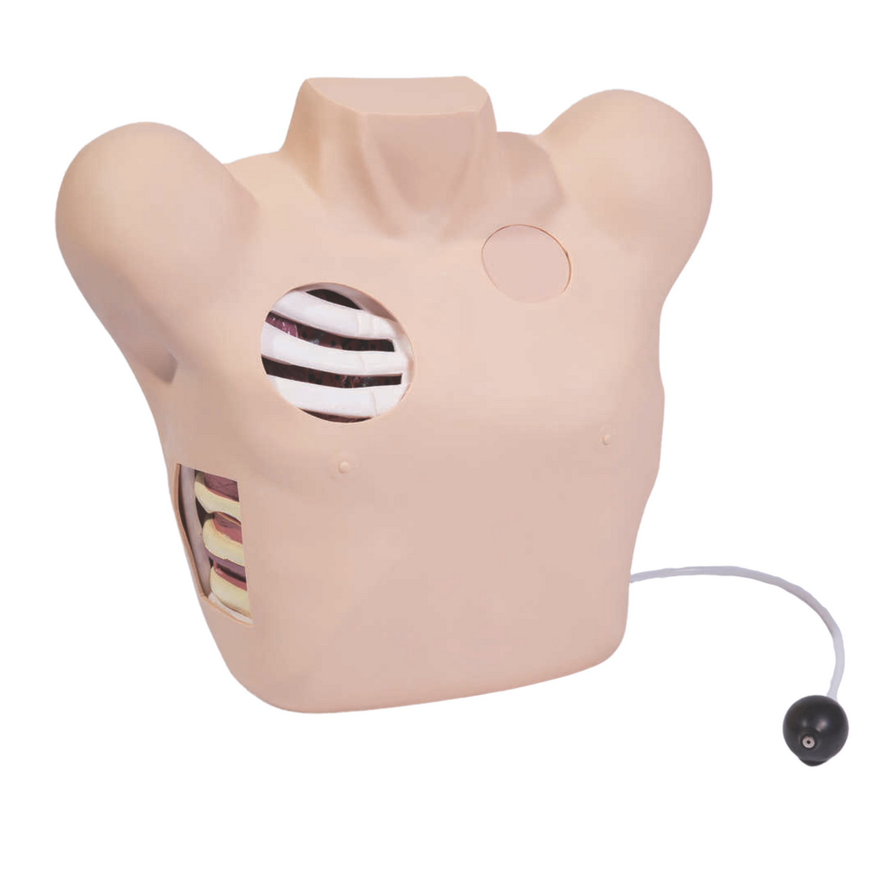 The Anatomy Lab-A-104414 Thoracentesis & Thoracic Drainage Training Simulator, 1/ea