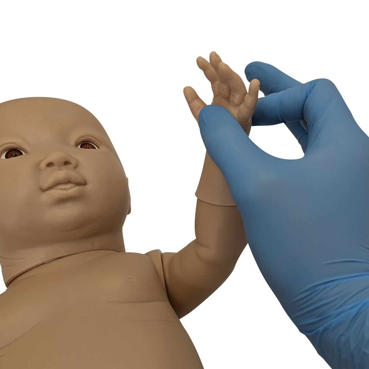 Anatomy Lab-A-104417 Intelligent Baby (Boy), 1/EA