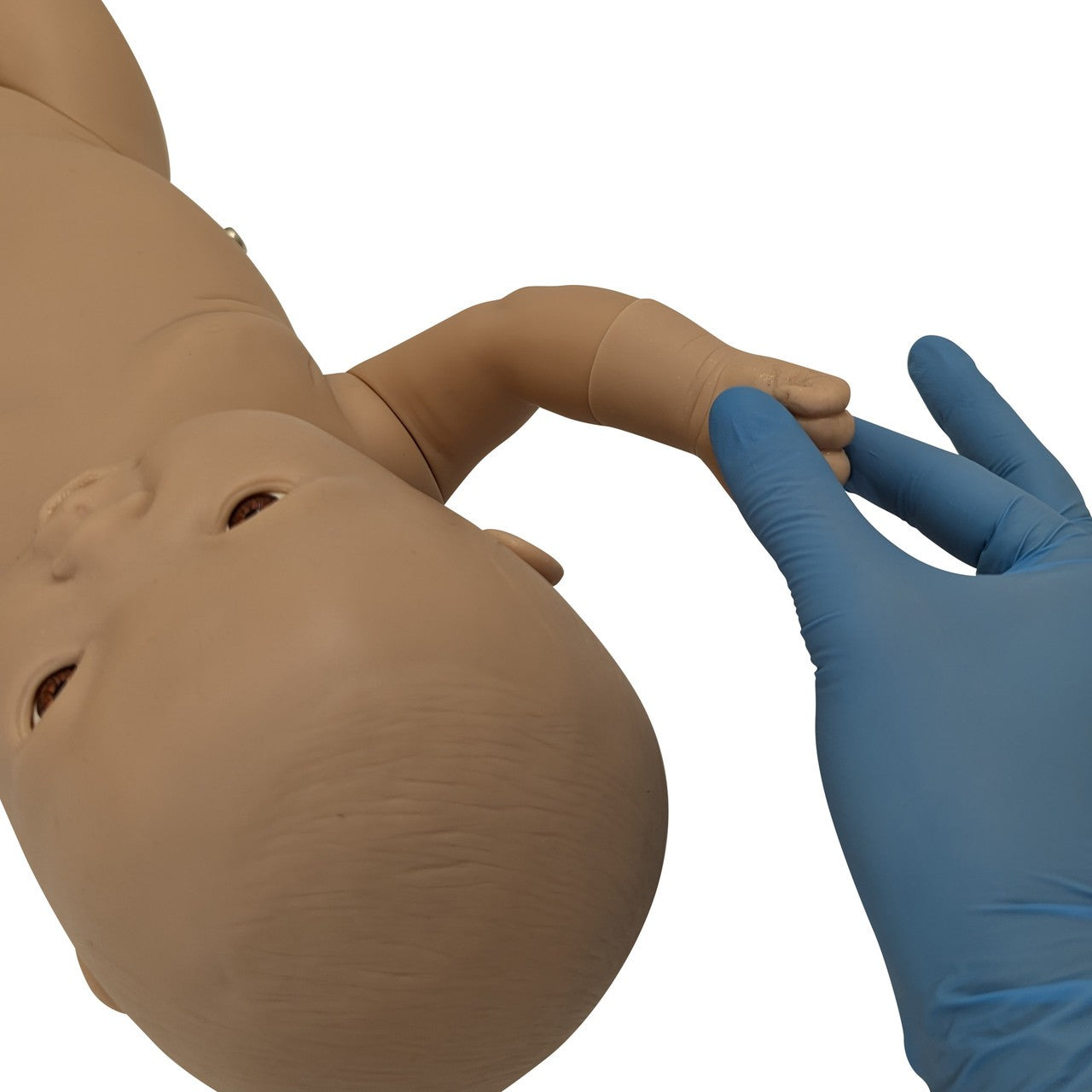 Anatomy Lab-A-104417 Intelligent Baby (Boy), 1/EA