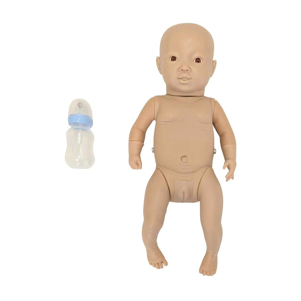 The Anatomy Lab-A-104418 Intelligent Baby (Girl)
