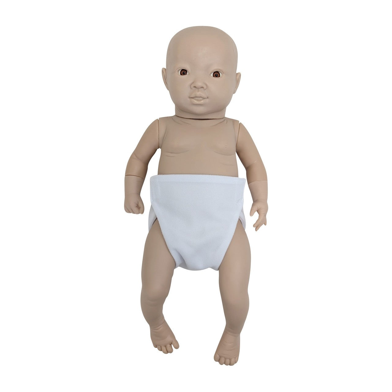 The Anatomy Lab-A-104418 Intelligent Baby (Girl)