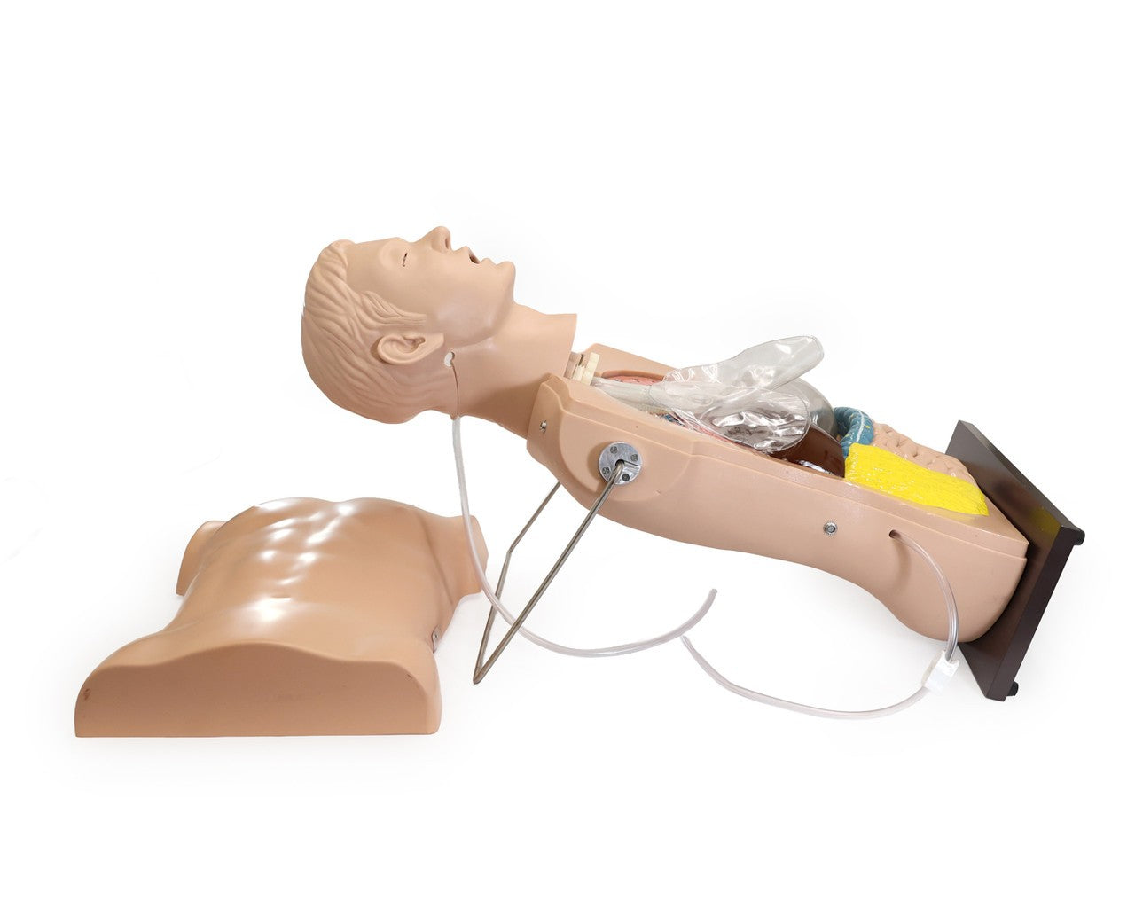 The Anatomy Lab-A-104423 NG Tube & Tracheal Care Simulator, 1/ea