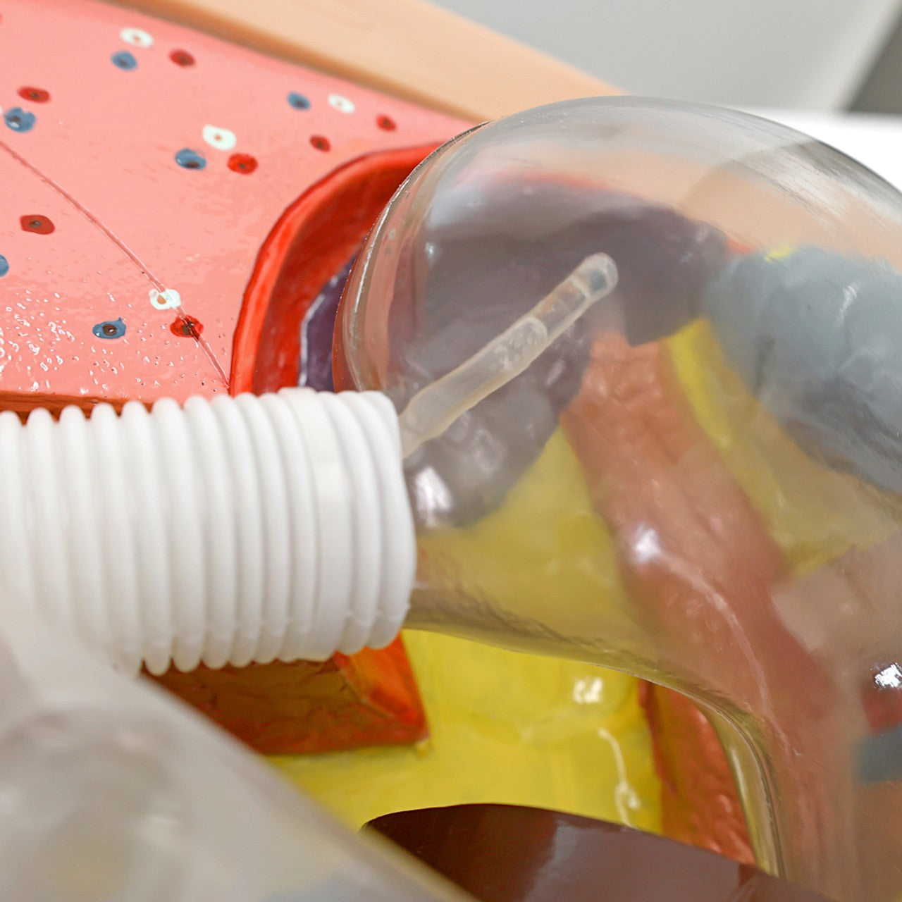 The Anatomy Lab-A-104423 NG Tube & Tracheal Care Simulator, 1/ea