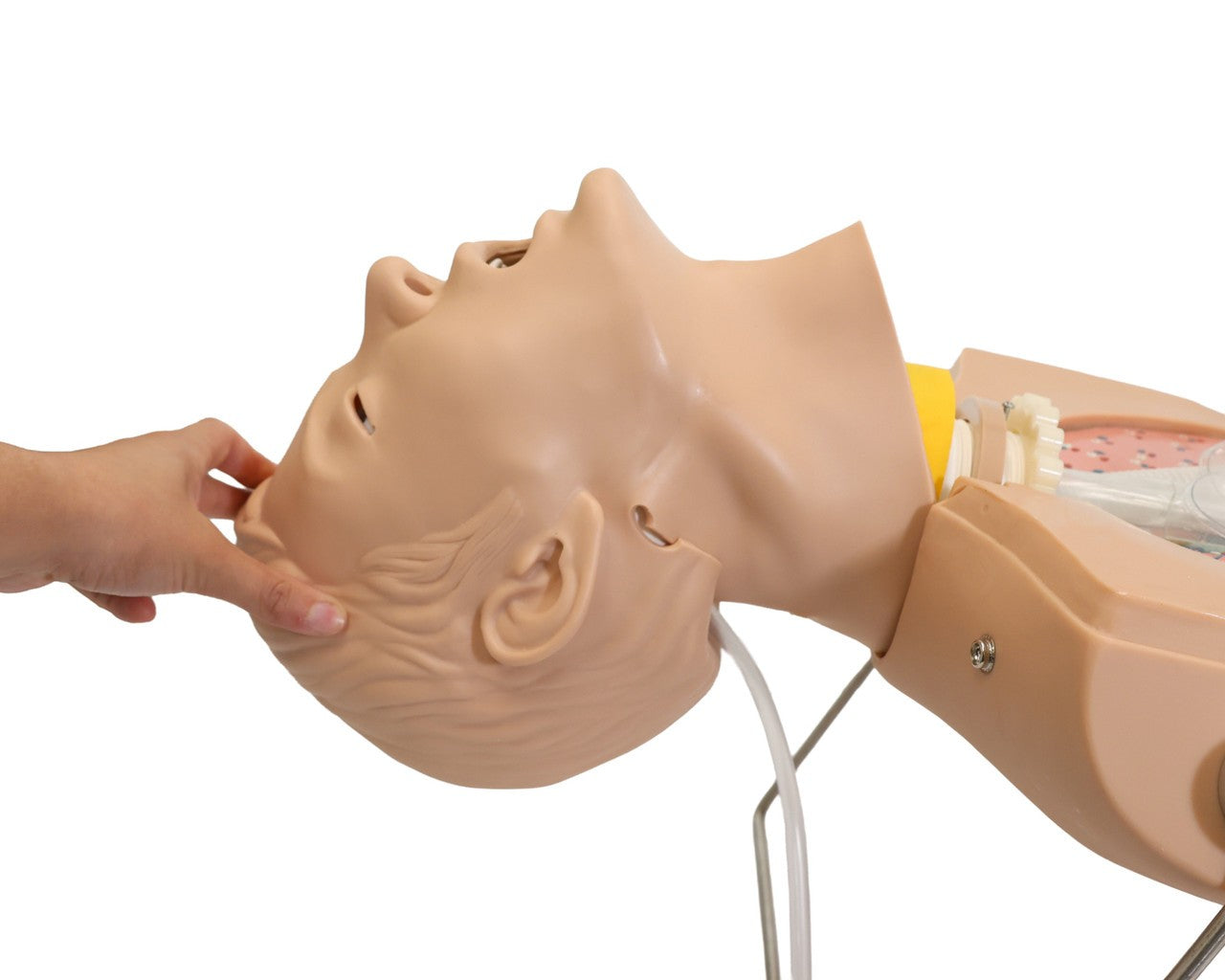The Anatomy Lab-A-104423 NG Tube & Tracheal Care Simulator, 1/ea