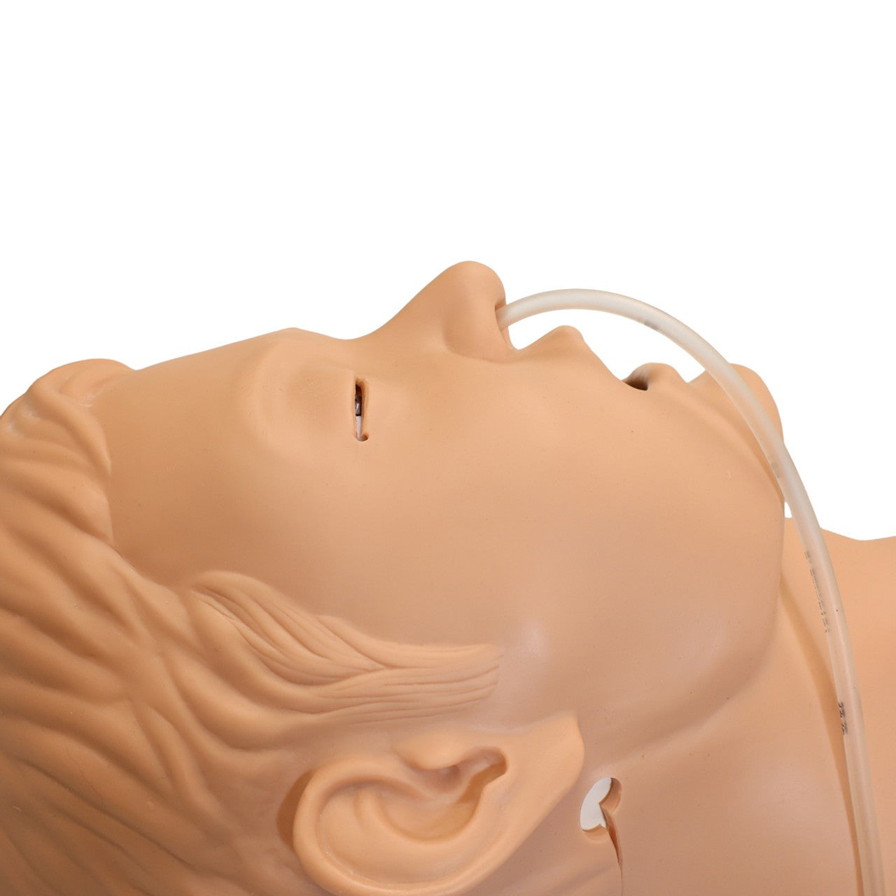The Anatomy Lab-A-104423 NG Tube & Tracheal Care Simulator, 1/ea