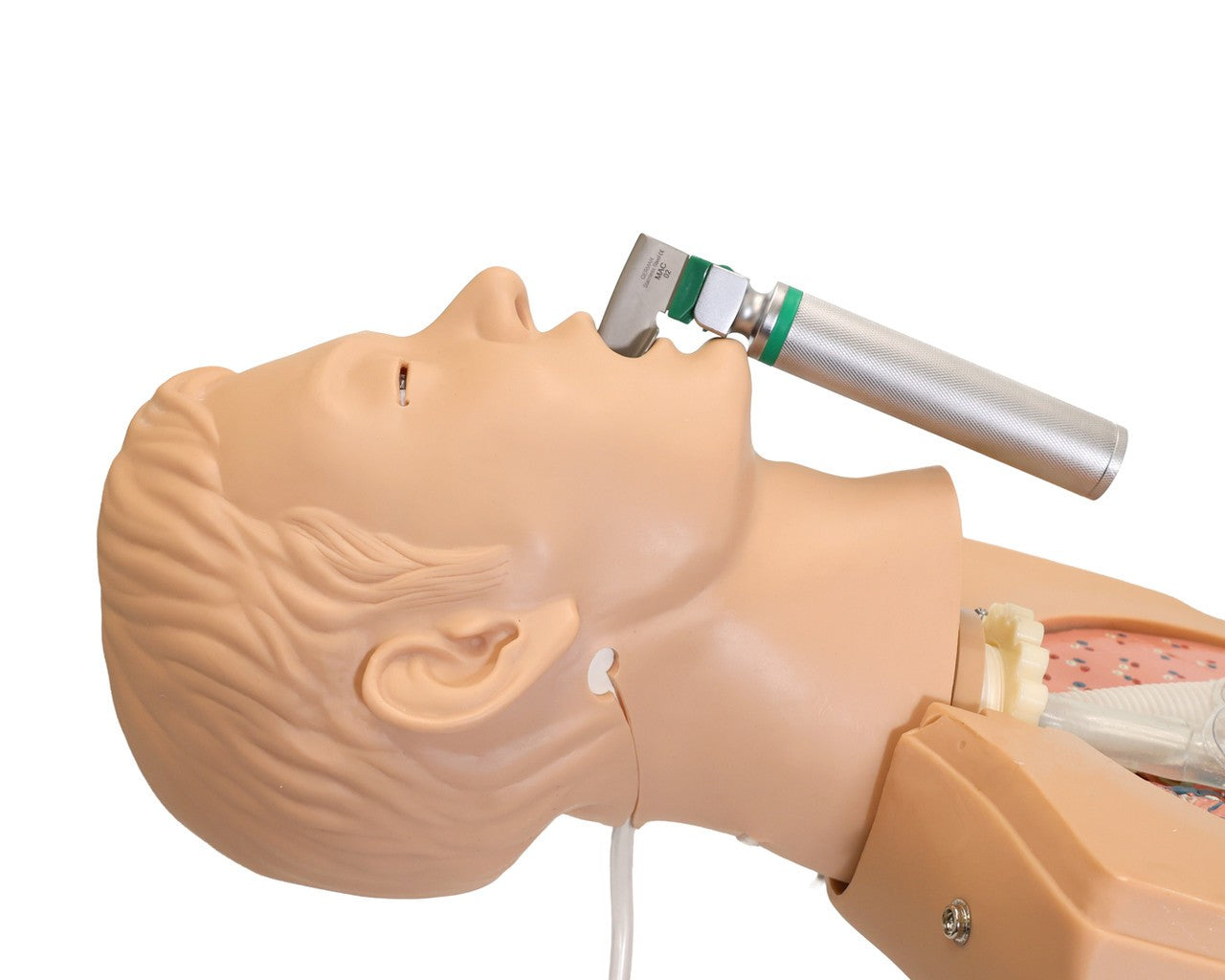 The Anatomy Lab-A-104423 NG Tube & Tracheal Care Simulator, 1/ea