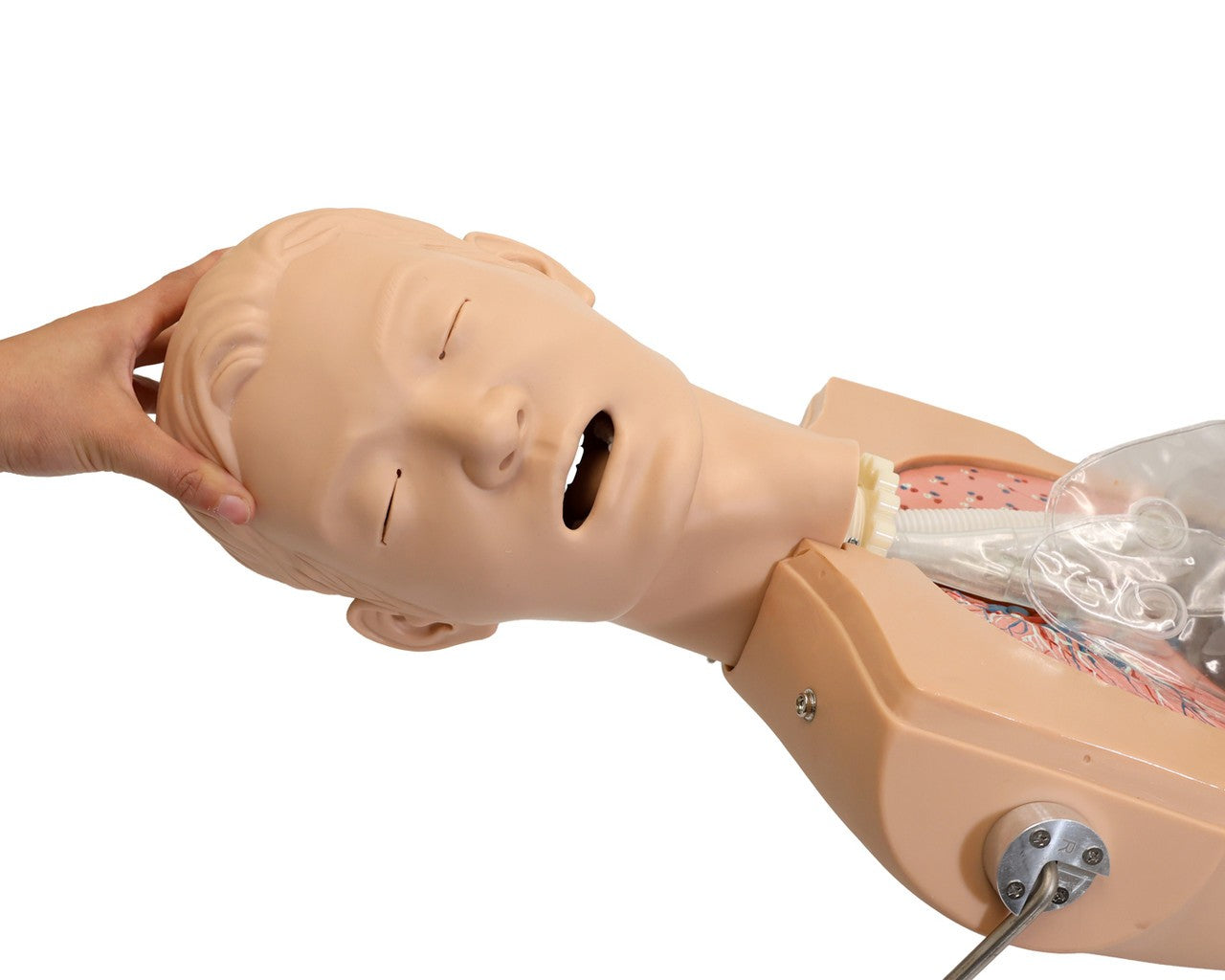 The Anatomy Lab-A-104423 NG Tube & Tracheal Care Simulator, 1/ea