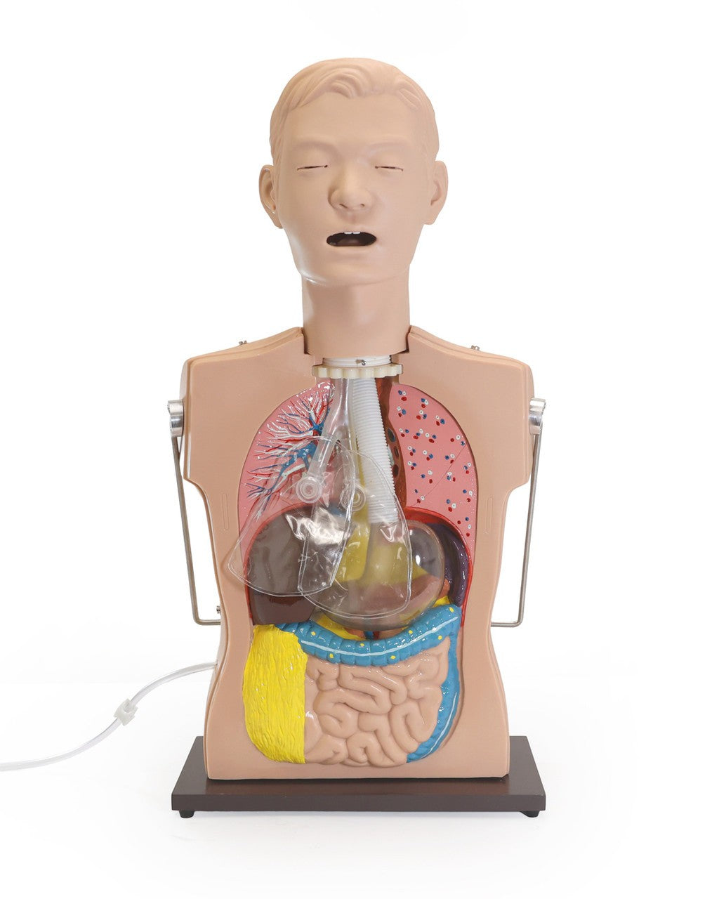 The Anatomy Lab-A-104423 NG Tube & Tracheal Care Simulator, 1/ea
