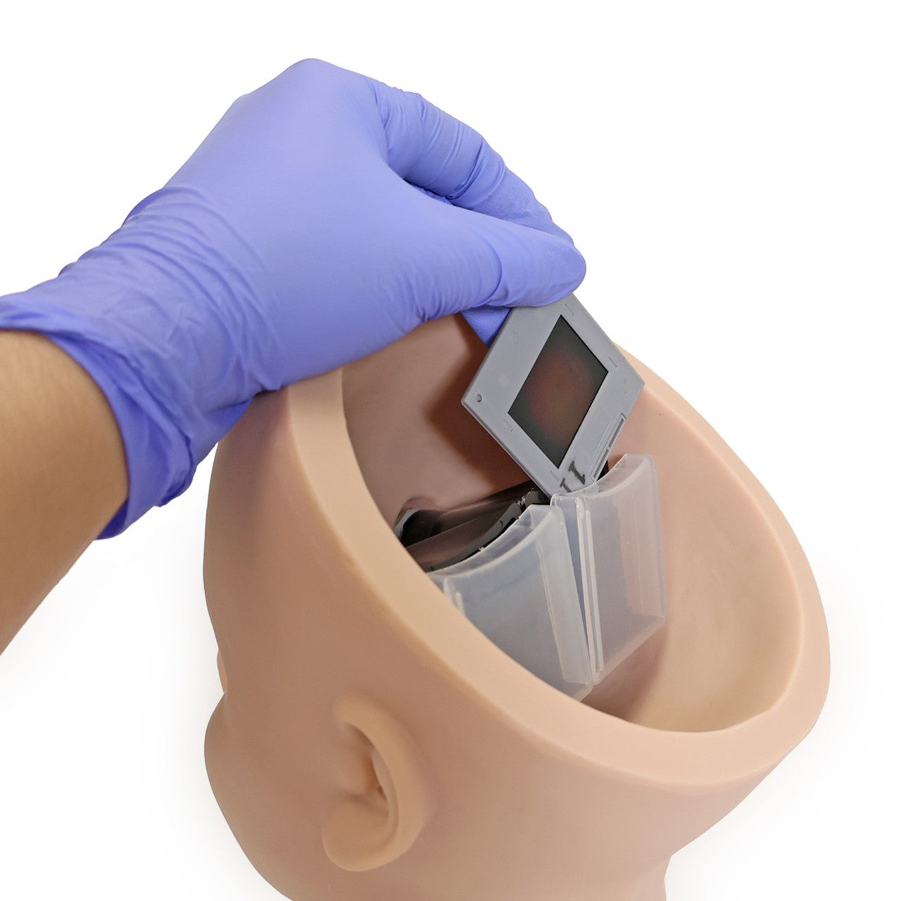 The Anatomy Lab-A-104445 Eye Retinopathy Trainer, 1/ea