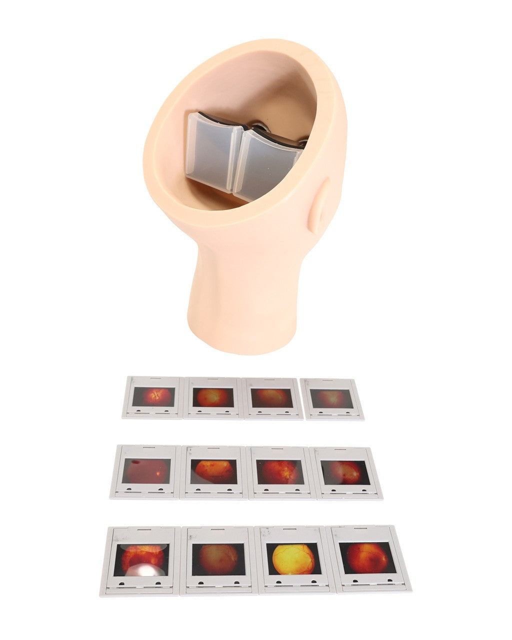 The Anatomy Lab-A-104445 Eye Retinopathy Trainer, 1/ea