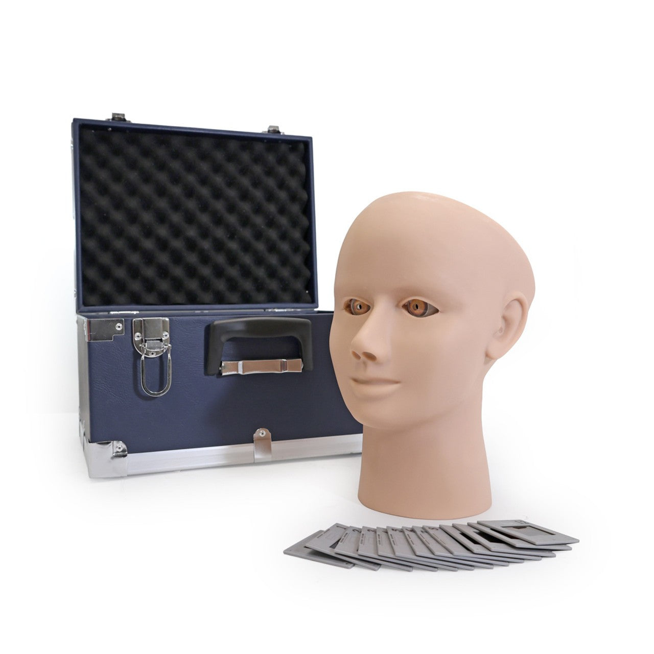 The Anatomy Lab-A-104445 Eye Retinopathy Trainer, 1/ea